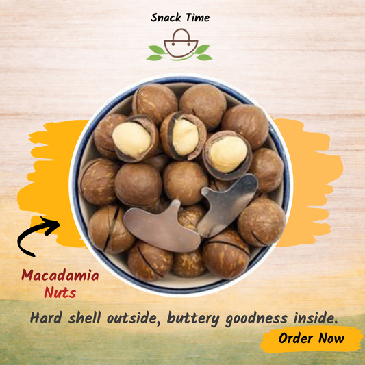 Macadamia Nuts (Key Open Hard Shell) | Premium Dry Fruit